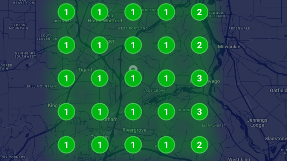 local google business profile ranking map